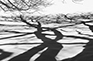 Reaching Out IV